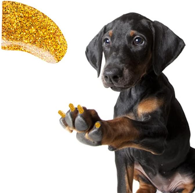 די טפרי 3 חודש אספקת רך נייל כובעי עם דבק עבור כלב טפרי-24 קראט זהב