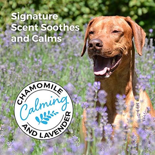 לשפוך מגן שמפו כלב עור רגיש-וטרינר מומלץ, שיבולת שועל מרכיבים על בסיס צמחי טבעי, אלוורה &מגבר;