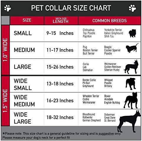 צווארון כלב צווארון בטיחות גולגלות סוכר אבזרי אפור ורוד 18 עד 32 אינץ 'ברוחב 1.5 אינץ'