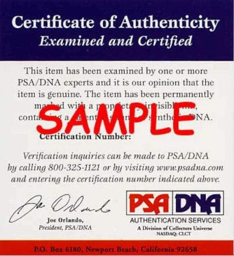 אל קאלין PSA DNA חתום 8x10 צילום מקורי נמרים חתימה 5 - תמונות MLB עם חתימה