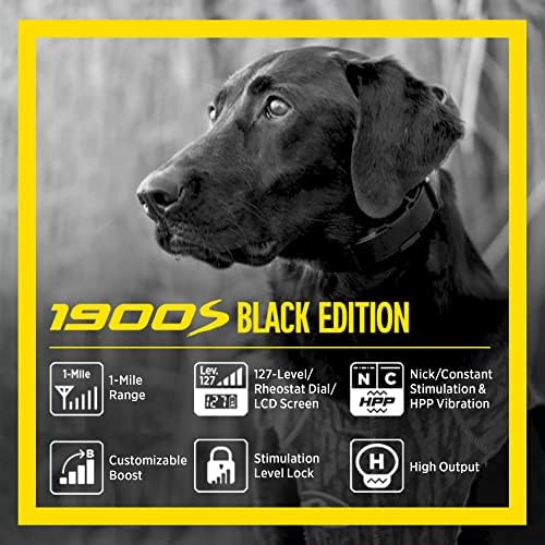 Dogtra 1900s שחור אימוני כלבים מרחוק אילוף צווארון אלקטרוני דחיפה ומנעול ארגונומי 1 קילומטרים IPX9K אטום למים