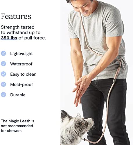 משל קסם רצועה-קונבנציונלי כלב רצועה - ידיים משלוח רצועה עבור כלב הליכה - יכול להיות משוחק כמו