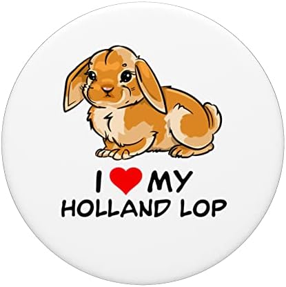 אני אוהב את הכתום שלי בהולנד ארנב ארנב פופ -פופ -פופגריפ הניתן להחלפה