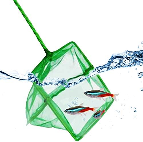 ג ' ור טרופי דגים נטו, ירוק רשת בסדר אידיאלי ללכידת דגים קטנים, עם חסון ידית ואחיזה נוחה, 1 מחשב לכל חבילה