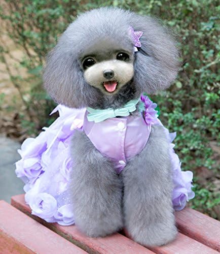 זוניאה נסיכת חיות מחמד כלב כלב חתול תחפושת חתונה סאטן ורד שמלה רשמית חצאית טוטו מסיבת ערב בגדים לבוש סגול סגול
