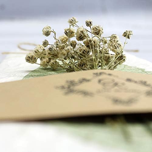 כלה בררנית 25 יחידות עלה ירוקה הזמנות לחתונה בהתאמה אישית עם פרח בייביסברט, הזמנות מותאמות אישית בעבודת