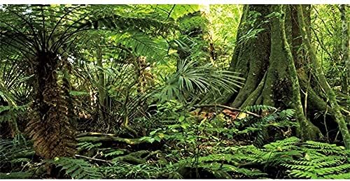48 על 24 סנטימטרים יער חממה רקע אבן ירוק ענק עץ זוחלים בית גידול רקע יערות גשם טרופיים אקווריום רקע