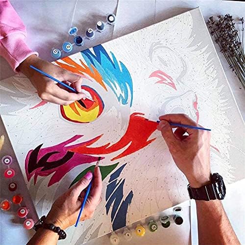 צבע לפי מספרים ערכת מבוגרים DIY DIY ציור שמן על ידי ערכת מספר לילדים מבוגרים עם מברשות וצבעי אקריליים