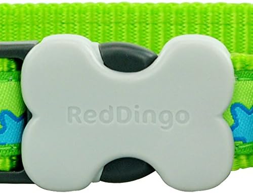 אדום דינגו סיד ירוק עם צווארון כלבים של כוכבים כחולים, בינוני/גדול/20 ממ
