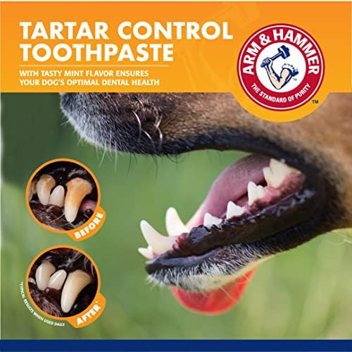 זרוע ופטיש עבור חיות מחמד כלב שיניים טיפול טרי נשימה ערכת לכלבים / כולל זרוע & פטיש אפיית סודה