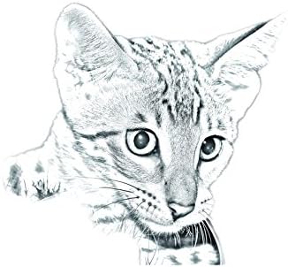 ארט דוג, מ.מ. סוואנה, מצבה סגלגלה מאריחי קרמיקה עם תמונה של חתול