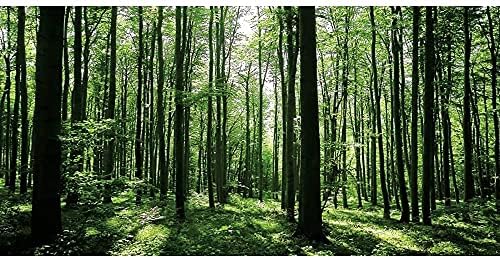 AWERT 24X12 אינץ 'יער רקע רקע יער גשם רקע אקווריום שמש סאנשיין עץ ירוק זוחל בית גידול רקע ויניל