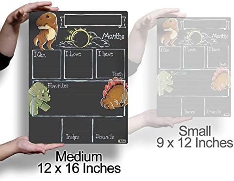 לוח אבן דרך חודשי של Cohas לתינוק עם נושא דינוזאור, משטח בסגנון לוח גיר לשימוש חוזר וסמן גיר נוזלי,
