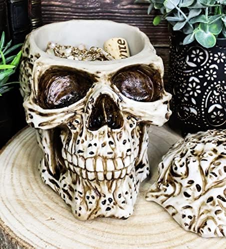 מתנה של אברוס טוטם רוח רפאים גולגולת גולגולת קופסת תכשיטים פסלונין 7.25 L Essumary Bachyard Head