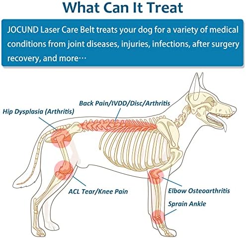 מכשיר טיפול בלייזר קר לכלבים, טיפול באור אדום לכלבים, טיפול באור אינפרא אדום וטרינר להקלה על כאבי מפרקים לחיות