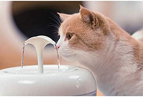 מתקני האכלה לחיות מחמד עצמאי מים מכונה, כלב חתול חכם מסנן מים, חיות מחמד אוטומטי במחזור מים מזרקת,
