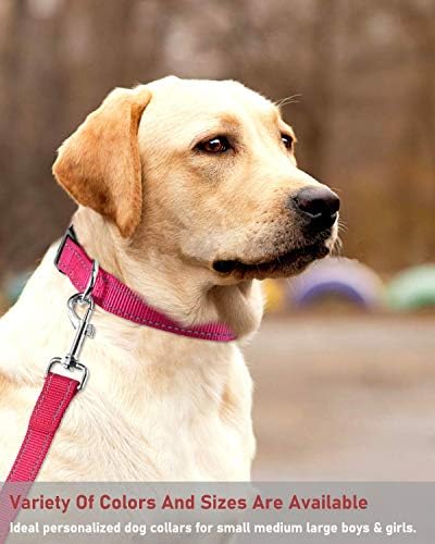 צווארון כלבים רפלקטיבי עם אבזם צווארוני ניילון בטיחותיים מתכווננים לכלבים גדולים בינוניים גדולים,