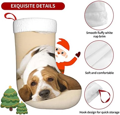 גרבי חג המולד בהתאמה אישית של אלבול כלב כלב חג המולד לקישוטים למסיבות חג המולד משפחתיות