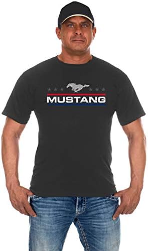 JH Design Group Ford Mustang Starved Starded Stars & Bars