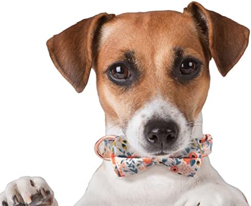 Genérico הכפות המקסימות שלי, צווארוני כלבים של ילדות אביב עם עניבת פרפר, ילדה צווארון כלבים לכלבים