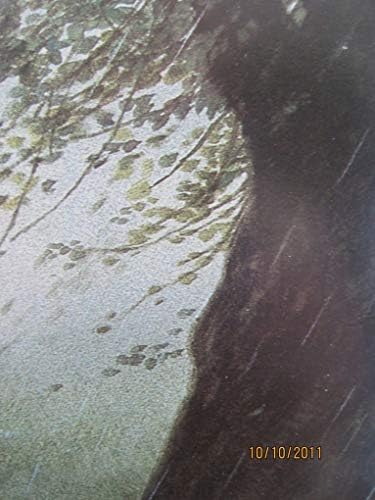 פוסטר אמנות יפה של LOTR הוביט פוסטר גנדלף מהדורה ראשונה 1993 ג'ון האו