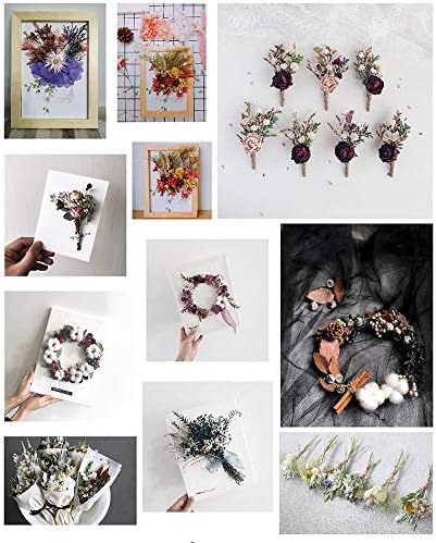 גנרי 6 קופסאות פרחים מיובשים טבעיים לחוצים להכנת טלפון נייד מארז נר מלאכת יד בעבודת יד אפוקסי
