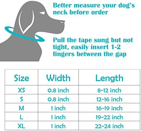 צווארון כלבים המותאם אישית לכלבים קטנים בינוניים גדולים, חריטת לייזר צווארון קלאסי עם כלבי מידע ייחודי