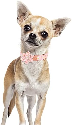 צווארון כלב חיות מחמד בבול עם עניבת פרחי חיננית ורודה, צווארון כלבי כותנה עם אבזם מתכת בטיחותית
