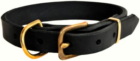 דין וטיילר B&B צווארון כלבים - חומרת פליז מוצקה - רוחב שחור - גודל 8 x 3/4 רוחב. מתאים לגודל הצוואר