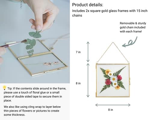 מסגרת זכוכית כפולה של Beedecor לפרחים לחוצים, עלים ויצירות אמנות - ריבוע תלוי 8x8 מסגרות תמורת מתכת,