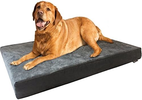 Dogbed4less XL אורתופדי מיטת כלבים קצף עם כיסוי רחיץ במכונה, רירית אטומה למים לחיית מחמד בינונית עד גדולה,