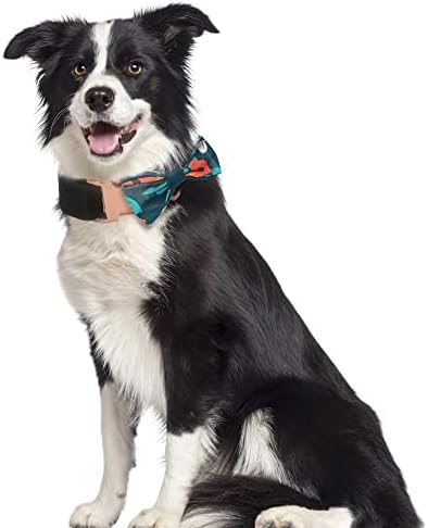 צווארון כלבים של צווארון כלבים ומערכת רצועה, צווארון כלבים מתכוונן עם עניבת פרפר, בנדנה כלבים,