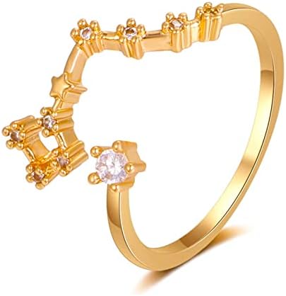 גלגל המזלות טבעת 12 קונסטליישן טבעת מתכוונן הורוסקופ אוסף יום הולדת טבעת מתנה עבור נשים בני נוער בנות הסטודנטיאלי