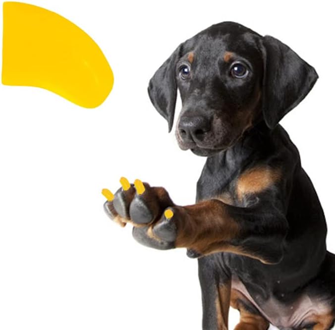 די טפרי 3 חודש אספקת רך נייל כובעי עם דבק עבור כלב טפרי-שמש צהוב גדול