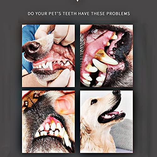 ערכת נשימה רעננה לטיפול שיניים לכלבים לחיות מחמד, ערכת ניקוי שיני כלבים של פימום מכילה מברשת שיניים