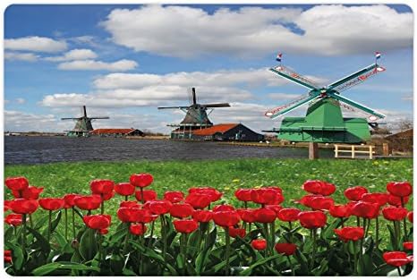 אמבסון טחנת רוח לחיות מחמד מחצלת עבור מזון ומים, מסורתי הולנדי טחנות רוח עם אדום צבעונים באמסטרדם