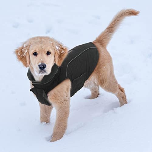 מעילי כלבים של אמוסט לחורף, בגדי כלבים עבים לילד כלבים בינוני, מעילים לכלבים חורף, מעילי כלבים למזג אוויר קר,