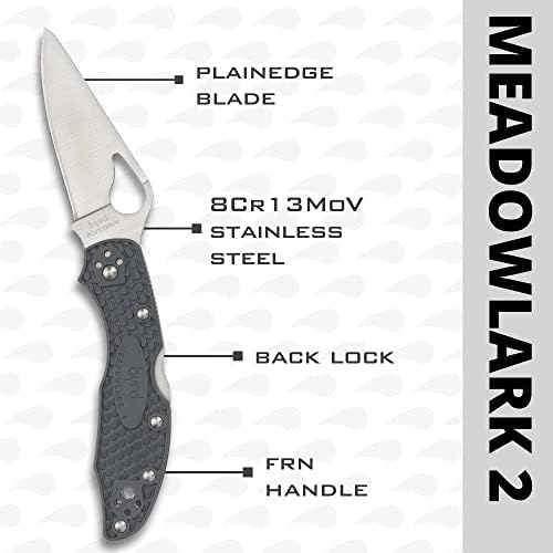 Spyderco Byrd Meadowlark 2 סכין קל משקל עם להב נירוסטה 2.90 אינץ