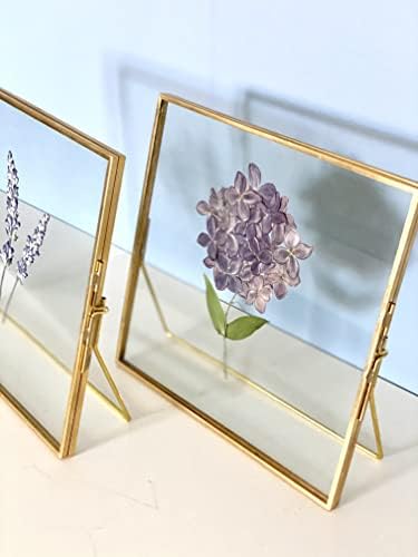 מסגרת זכוכית כפולה של Beedecor לפרחים לחוצים, צילום פולארויד ויצירות אמנות - 6x6, 5x7, 6x8 מסגרת תמונה עומדת לשולחן
