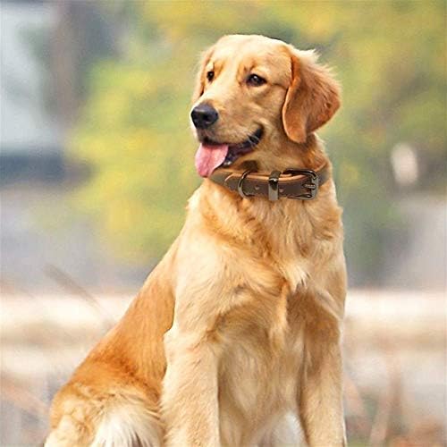רצועה מרופדת עור חיות מחמד צווארון כלב בינונית קטנה כלב גדול לברדור פיטבול סגסוגת כבד צווארון