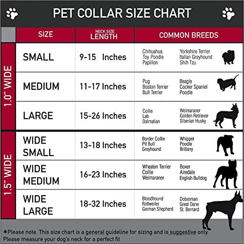 צווארון כלב אבזם חגורת בטיחות אבק גולגלות סוכר מגורים II שחור לבן 18 עד 32 אינץ 'ברוחב 1.5 אינץ'