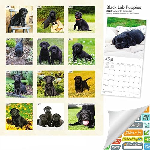 לוח שנה של מעבדה שחורה 2023 - Deluxe 2023 Black Lab Lab Guppies Calendar Calendar עם למעלה ממאה מדבקות לוח שנה