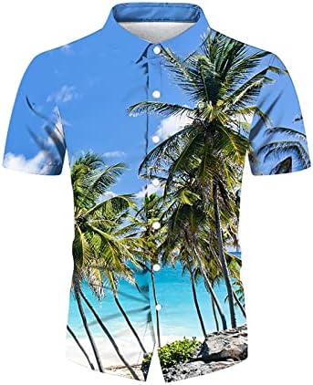 חולצות הוואי לגברים בכושר רגיל שרוול קצר חולצות הוואי לגברים עם מגוון גדול של צבעים עיצובים זמינים