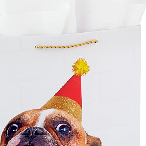 Hallmark Wrap 13 שקית מתנה גדולה עם נייר טישו וכרטיס יום הולדת, 135, צהבה, כחול, אדום