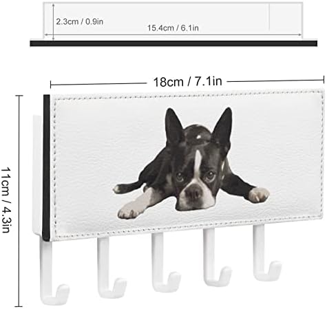 בוסטון טרייר כלב עור קיר עור רכוב ומחזיק דואר לעיצוב הבית עם 5 ווים מפתח