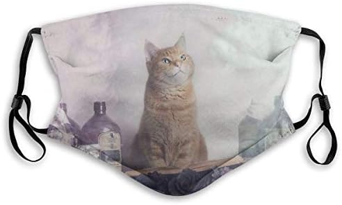 עשב חתול חתול כלב כפת הדפסי לב עבה גרבי חידוש מצחיק הדפסת גרפי מזדמן חם אמצע צינור גרביים לחורף